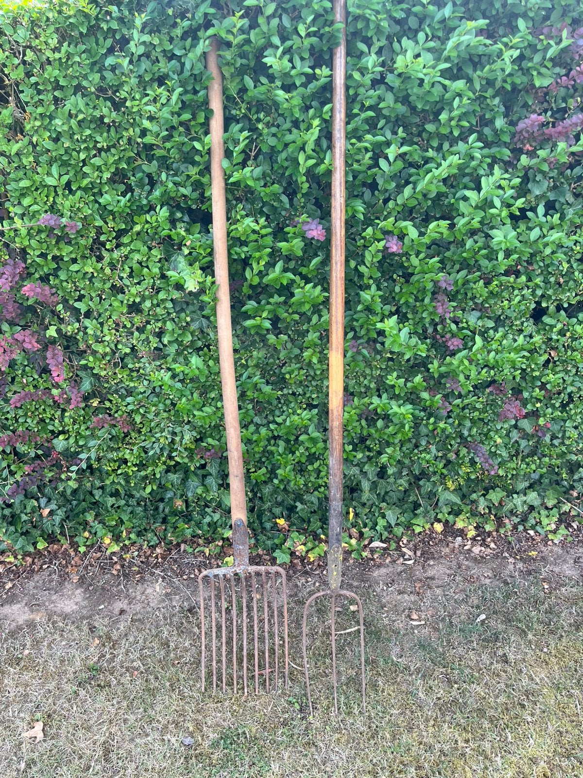 2 fourches, Jardin & Terrasse, Outils à main, Enlèvement, Comme neuf, Fourchette