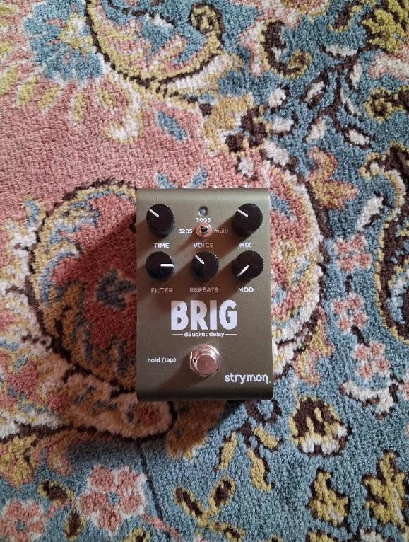 Strymon Brig, Ophalen of Verzenden, Zo goed als nieuw, Delay of Echo