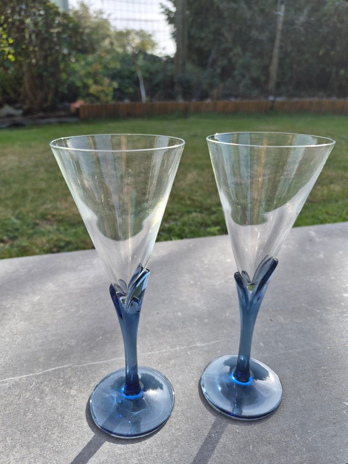 Set van 18 vintage champagneglazen Florian Bleu, Ophalen