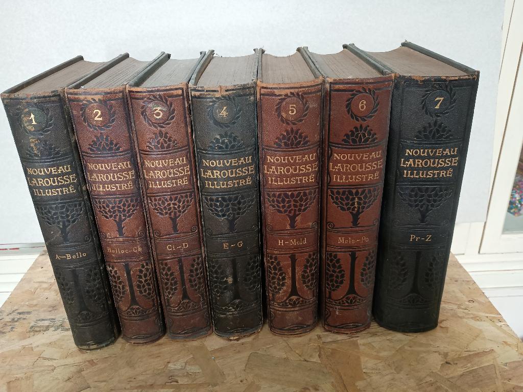 Woordenboeken, Boeken, Woordenboeken, Frans, Overige uitgevers, Ophalen, Gelezen