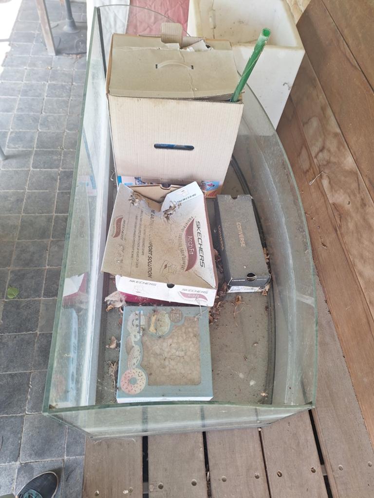 GRATIS Lubbeek, Dieren en Toebehoren, Ophalen