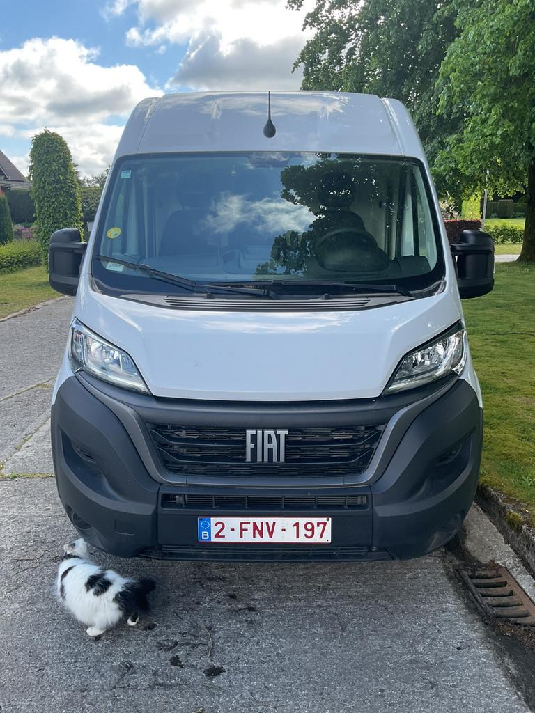 Fiat Ducato, Voorwielaandrijving, Stof, Electronic Stability Program (ESP), Wit