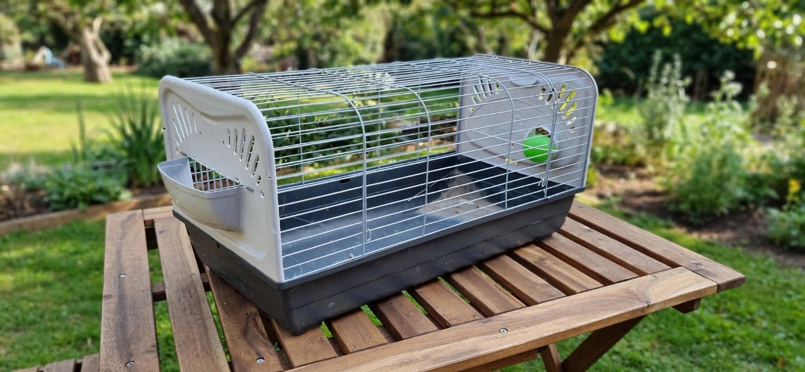 cage a lapin