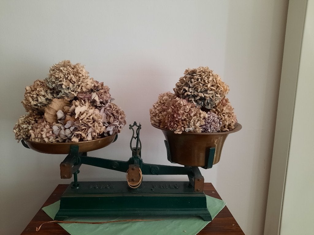 antieke balans/weegschaal, Ophalen