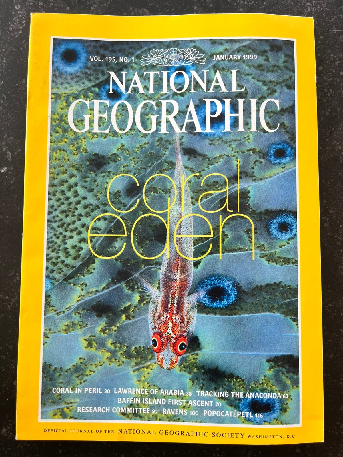 National Geographic 1999, Boeken, Tijdschriften en Kranten, Ophalen, Zo goed als nieuw