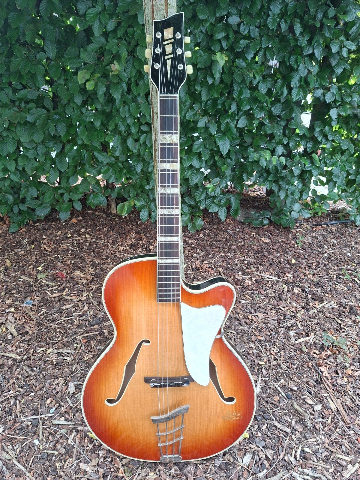 Arche massive d'Astro (August Strohmer) | Allemagne de l'Oue, Musique & Instruments, Instruments à corde | Guitares | Électriques