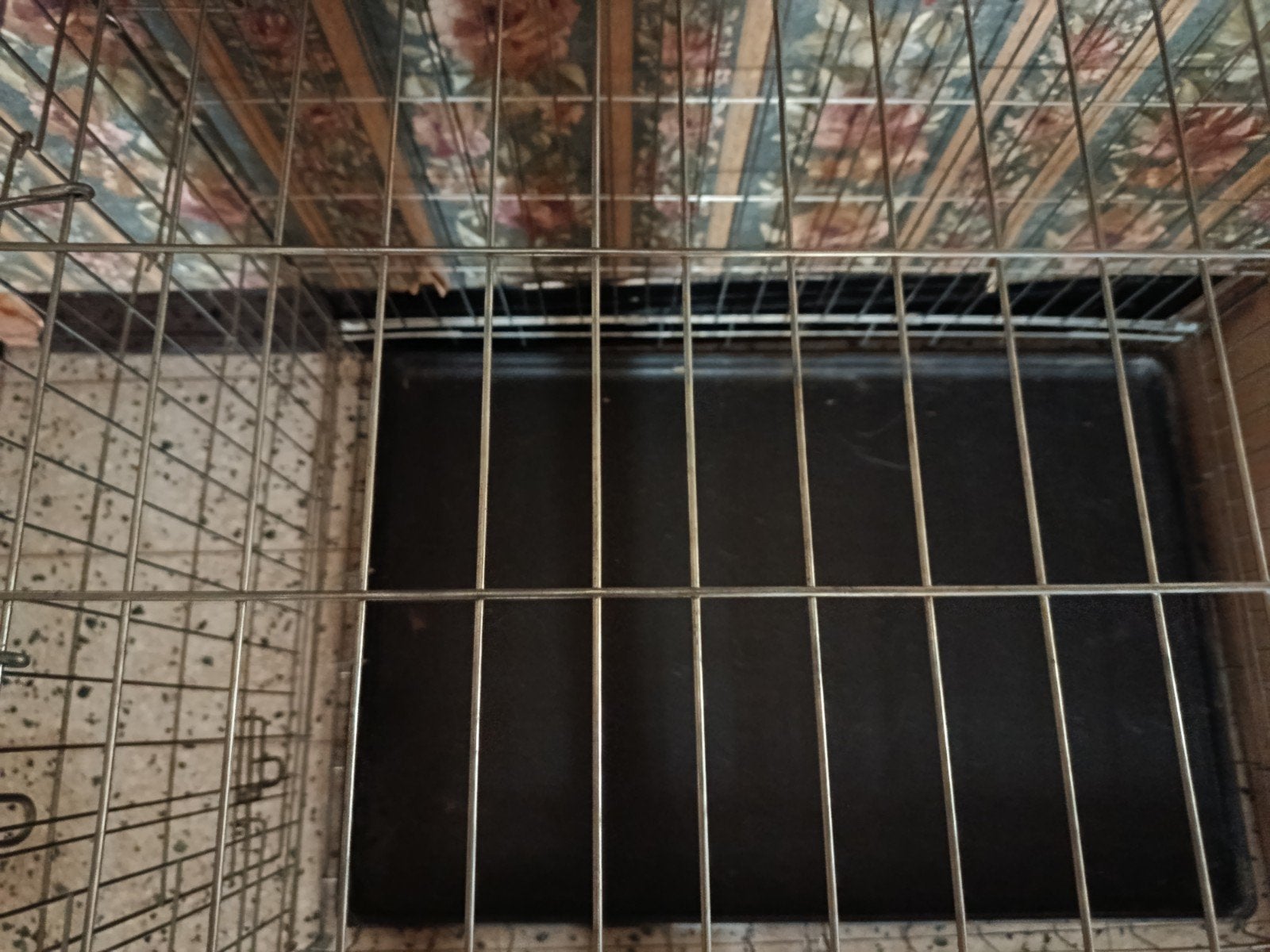 cage pour chienL, Dieren en Toebehoren, Hondenhokken, Ophalen of Verzenden