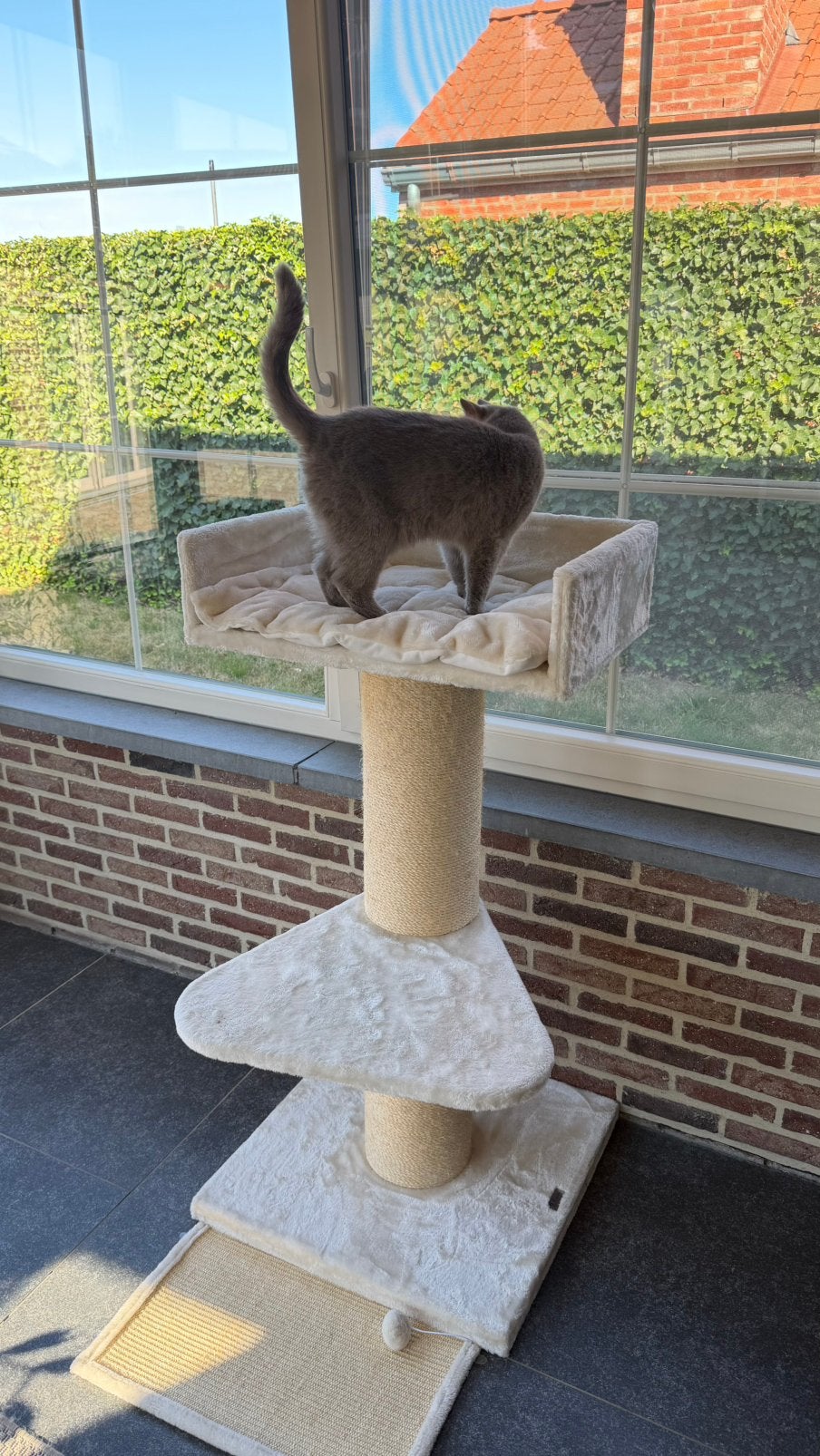 Kattenboom XL Krabpaal, Ophalen, Zo goed als nieuw, Krabpaal