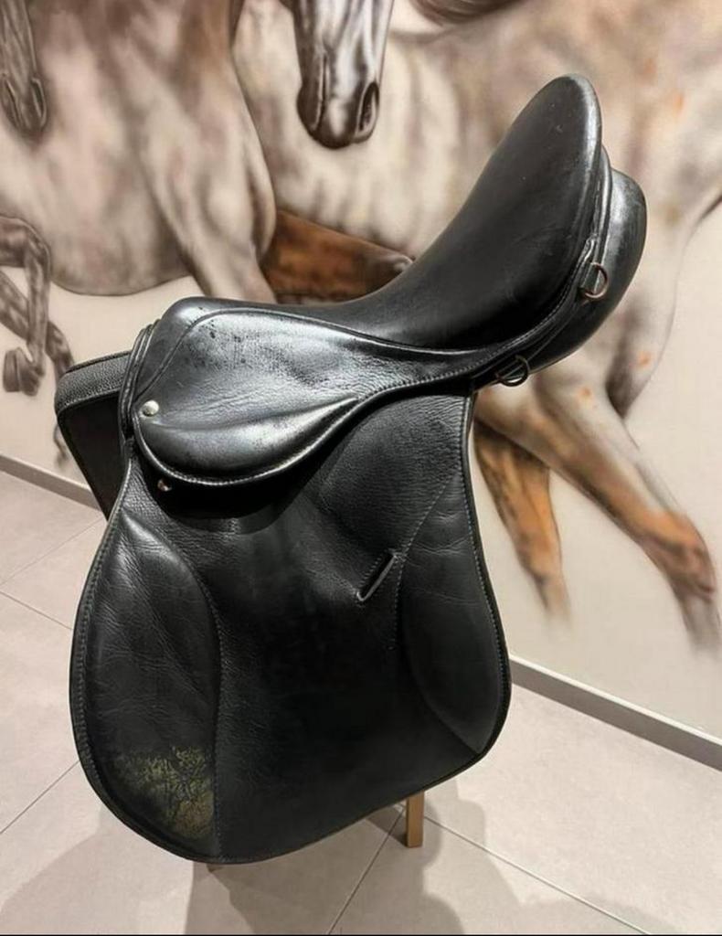 Zaldi 17”, Animaux & Accessoires, Enlèvement