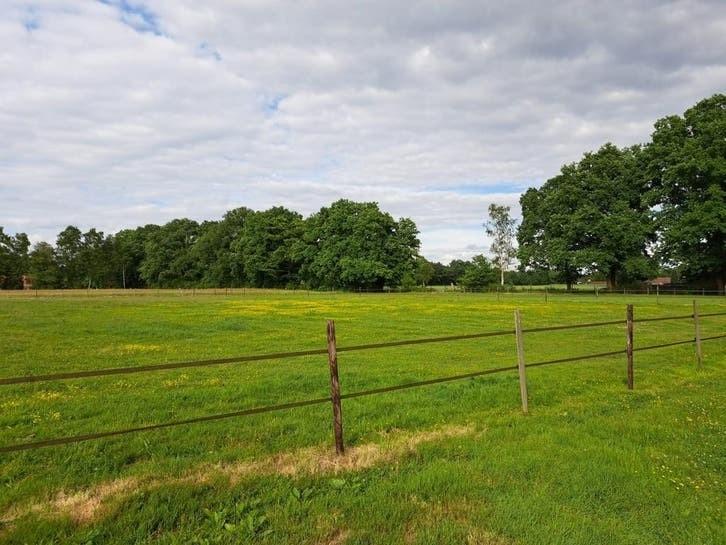 Te huur 2.ha weide met 4paardenstallen  met piste 4060m, Dieren en Toebehoren