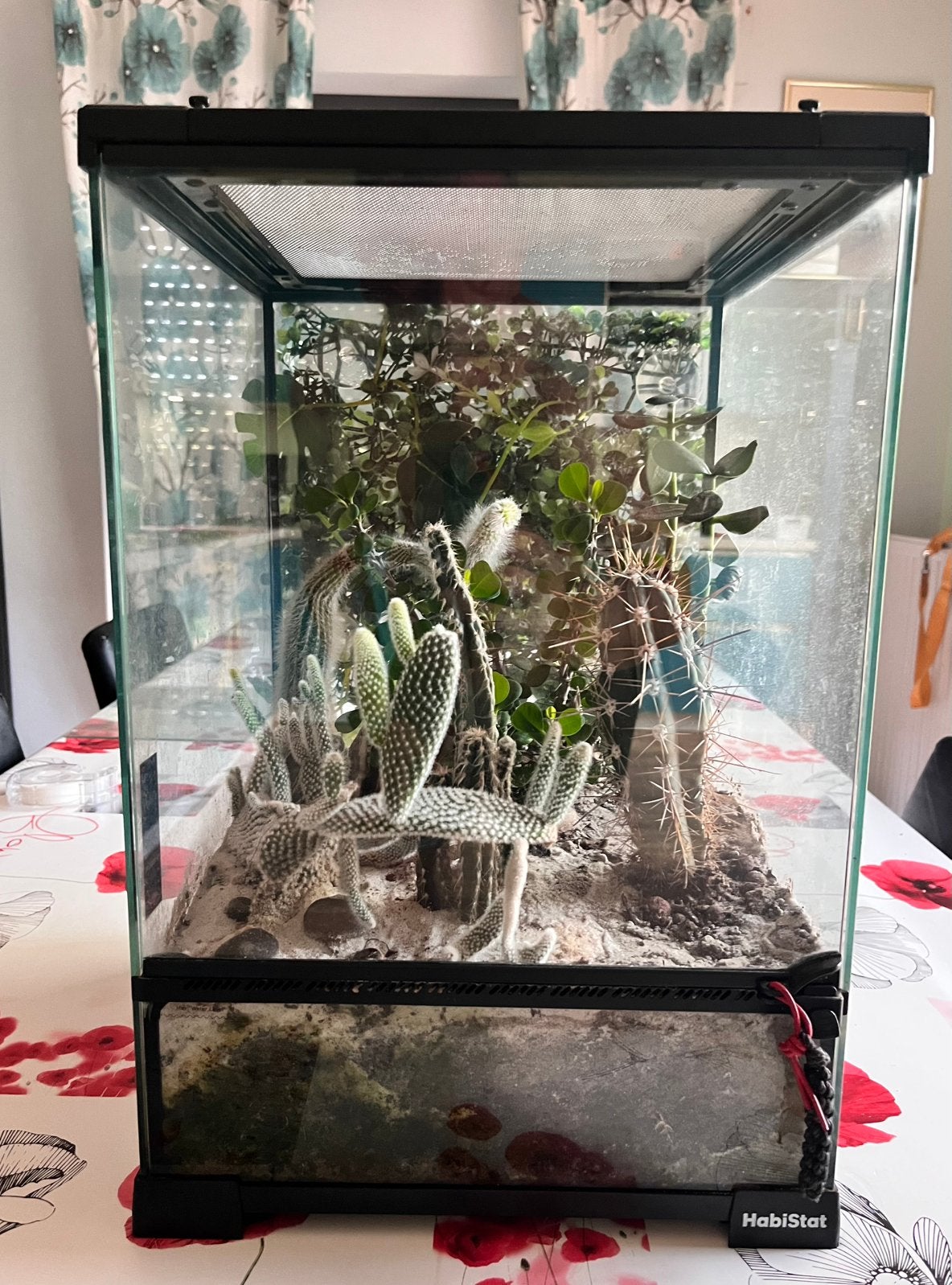 3 Terrariums, Enlèvement, Utilisé