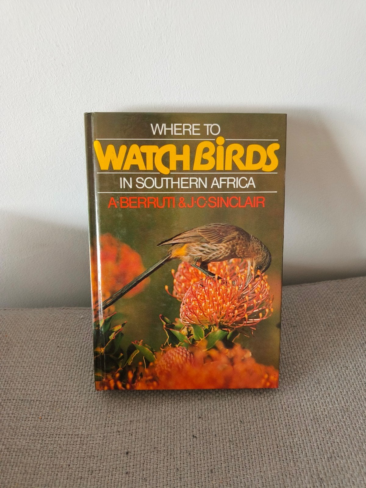 Where to Watch Birds in Southern Africa – Berruti & Sinclair, Livres, Nature, Enlèvement ou Envoi, Comme neuf, Oiseaux