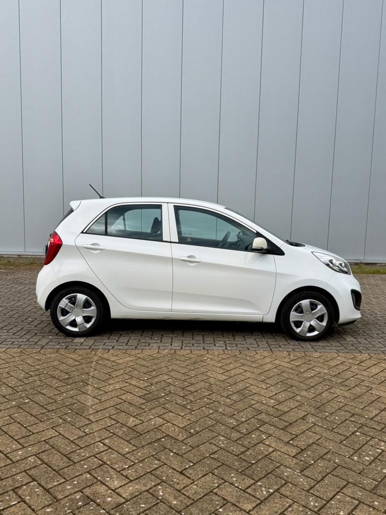 Kia Picanto, Autos, Kia, Achat, 4 portes, Entreprise, Boîte manuelle