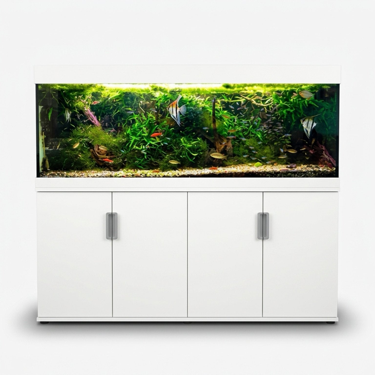 Eheim aquarium met alle inhoud, Enlèvement, Comme neuf, Filter, Eheim