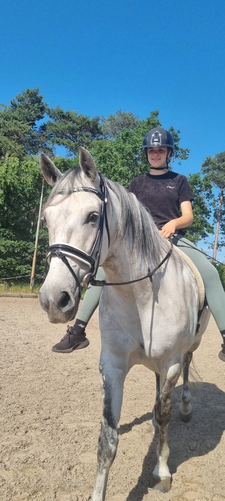 **met SPOED nieuw huisje gezocht voor 100% brave merrie, Dieren en Toebehoren, Merrie
