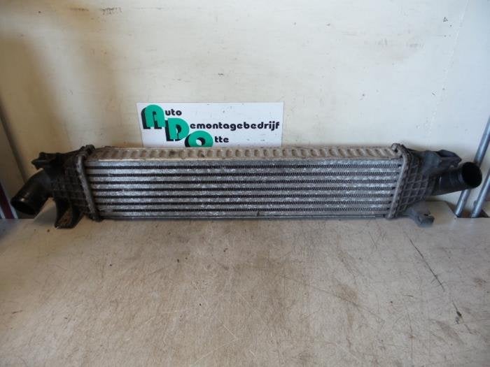 Intercooler d'un Ford Focus (Focus 04-), -, 3 mois de garantie, -, -