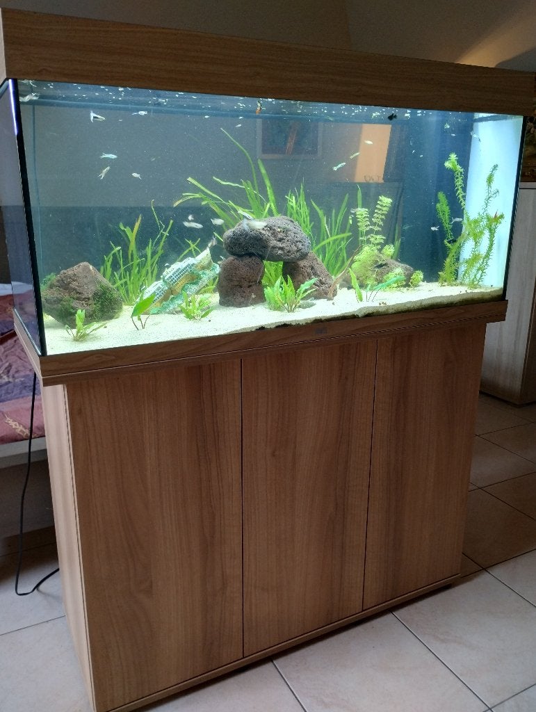 Juwel 180l, Dieren en Toebehoren, Ophalen, Inclusief deksel, Juwel