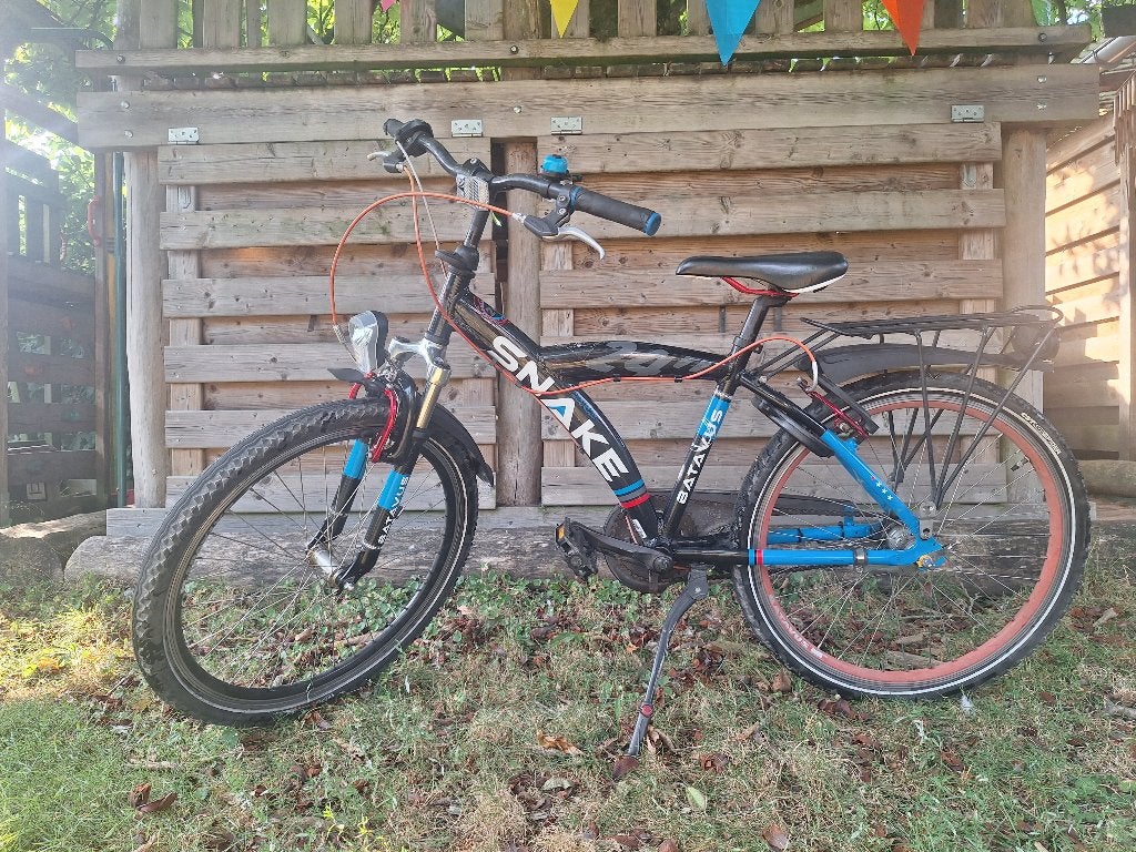 Jongensfiets Batavus Snake 24 inch, Fietsen en Brommers, Ophalen, Terugtraprem, Handrem, BATAVUS