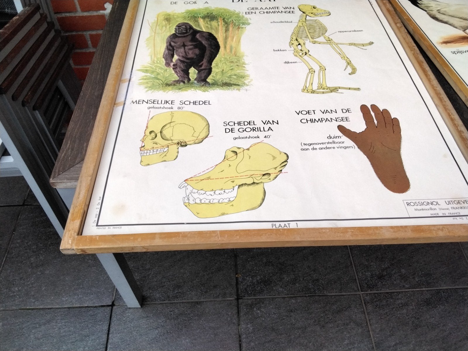 oude  schoolkader     volledig 9platen   recto verso, Enlèvement ou Envoi