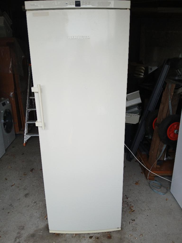Diepvries Liebherr no frost, Elektronische apparatuur, Gebruikt, 160 cm of meer, Energieklasse A of zuiniger, Ophalen