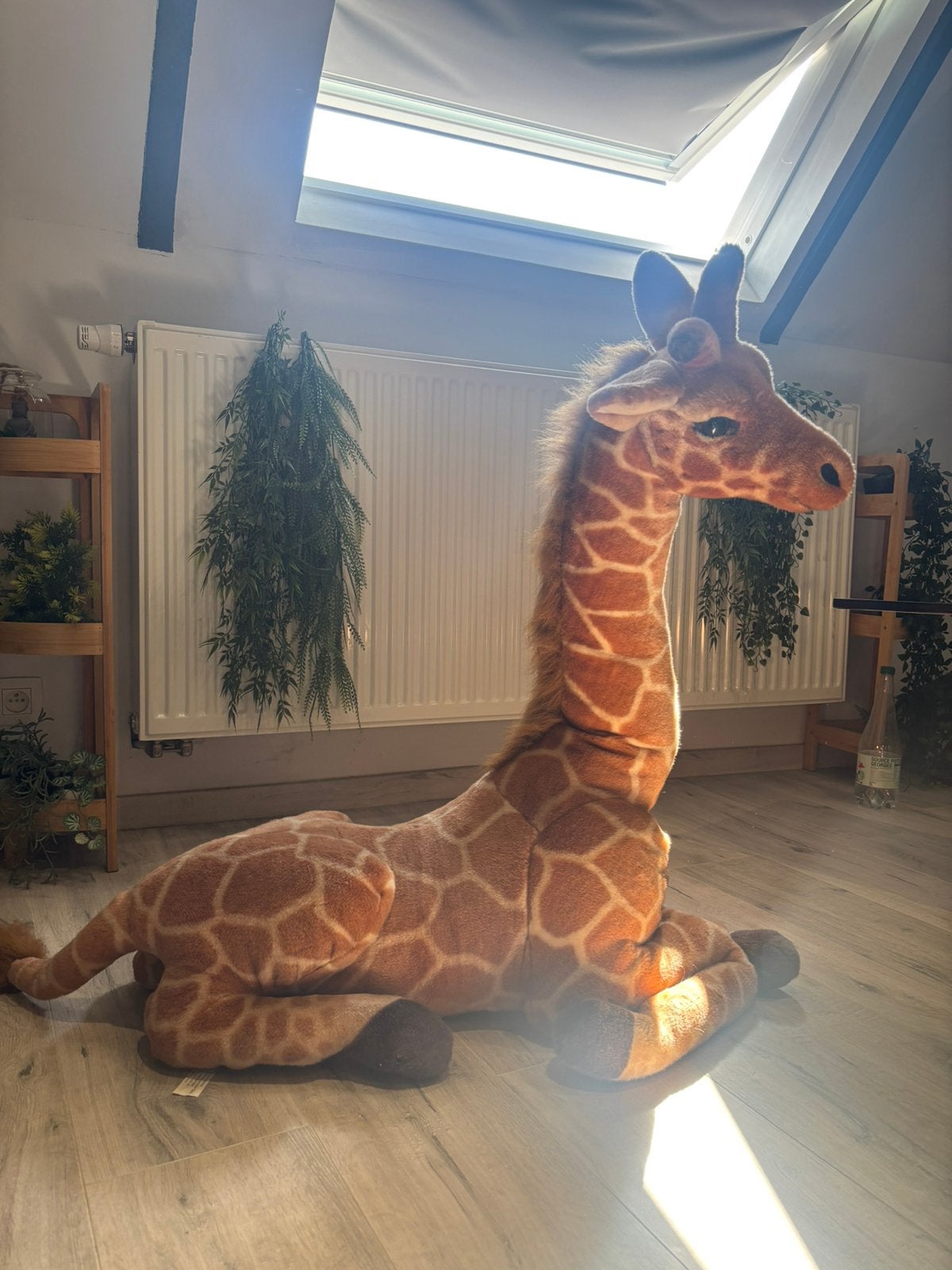 Grande peluche giraffe a venir chercher sur place, Enfants & Bébés, Jouets | Peluches, Enlèvement, Comme neuf, Girafe, Moyen (20 à 80 cm)