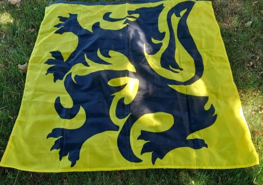 Vlag Vlaamse Leeuw, Diversen, Ophalen of Verzenden, Nieuw