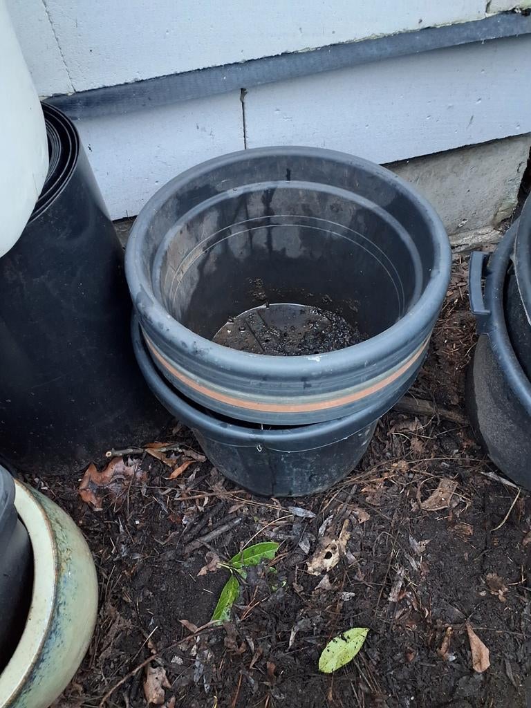 Stevige plastic 20 liter bloempotten, Tuin en Terras, Ophalen