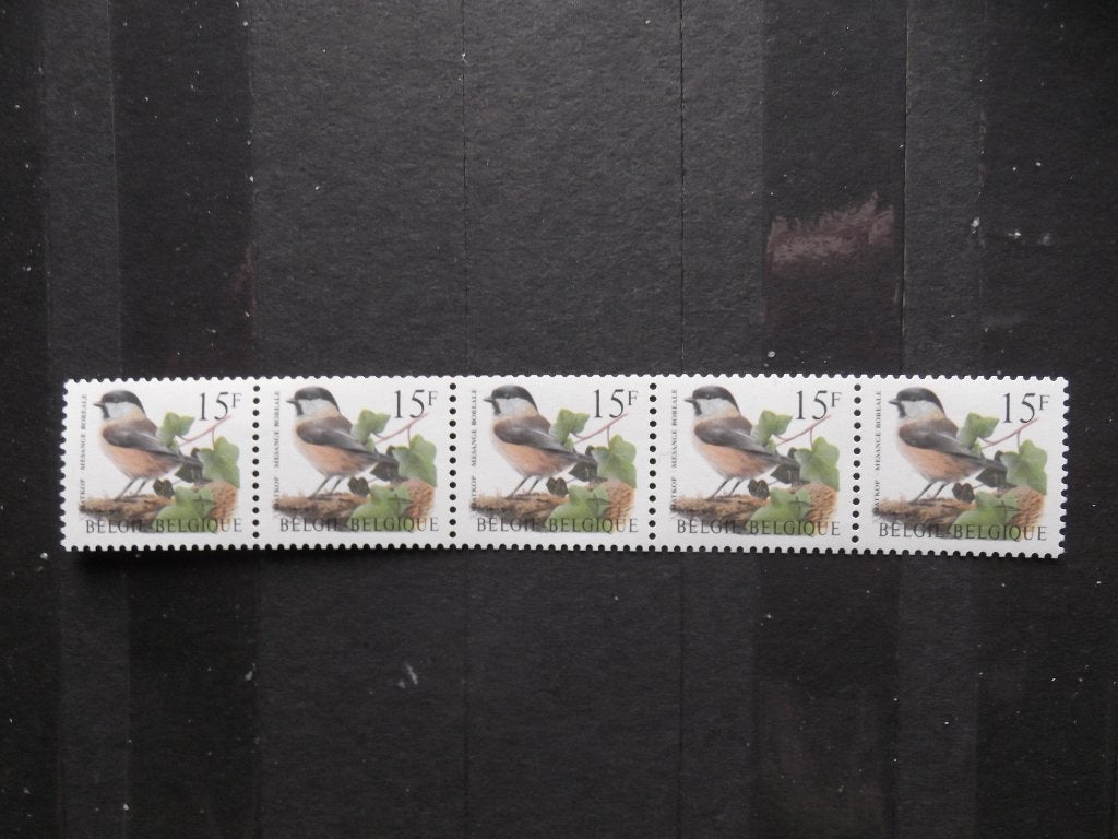 2732 R83 Matkop - Mésange boréale 5x MNH, Timbres & Monnaies, Timbres | Europe | Belgique, Enlèvement ou Envoi, Non oblitéré, Timbre-poste