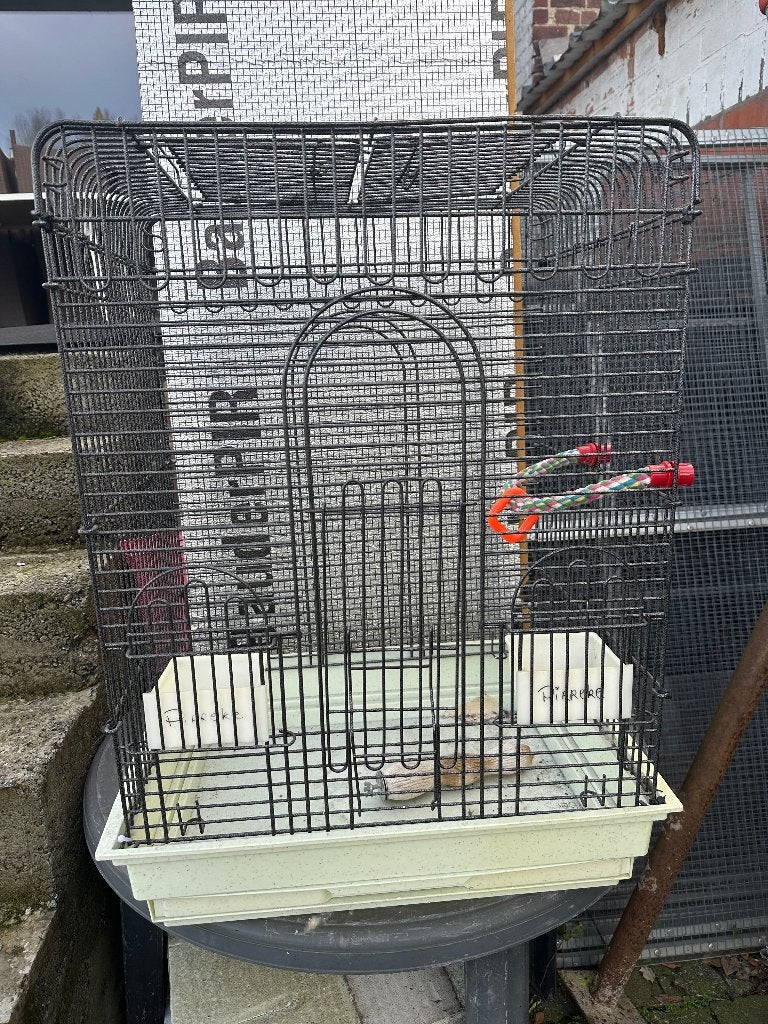 Vogelkooi, Dieren en Toebehoren, Ophalen, Gebruikt, Vogelkooi