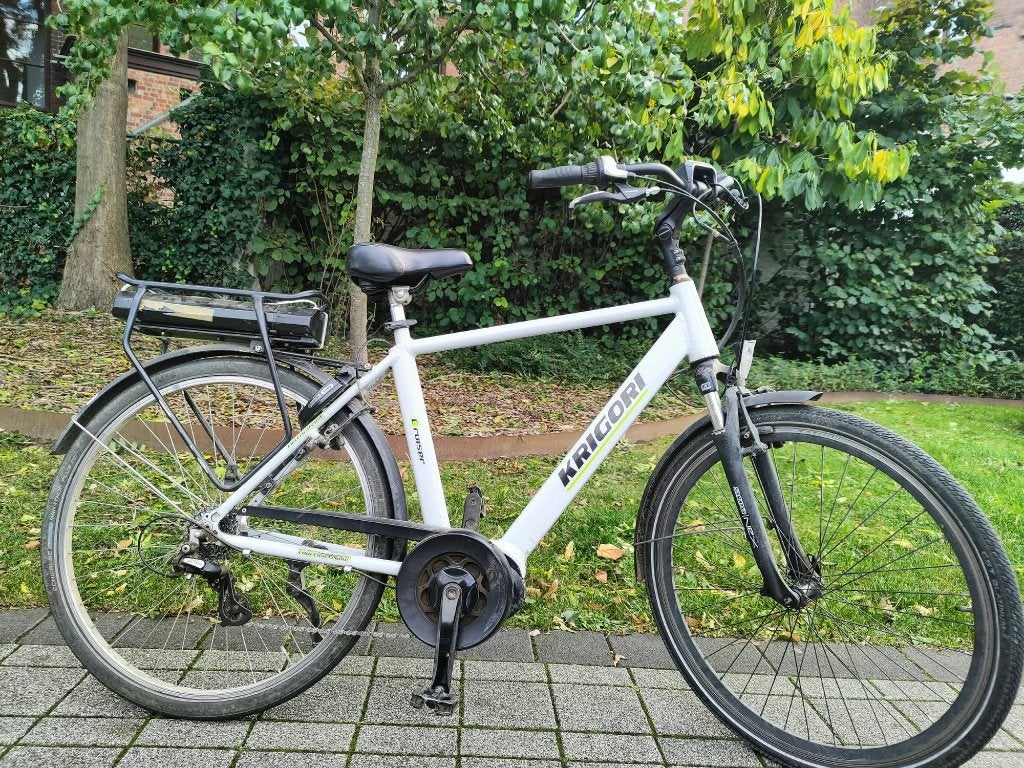 Vélo électrique et vélo électrique pour hommes, Vélos & Vélomoteurs, Enlèvement, Comme neuf