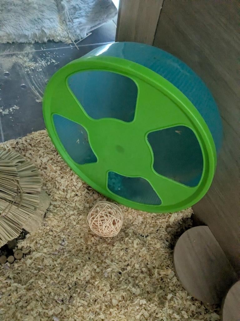 Hamster house, Ophalen