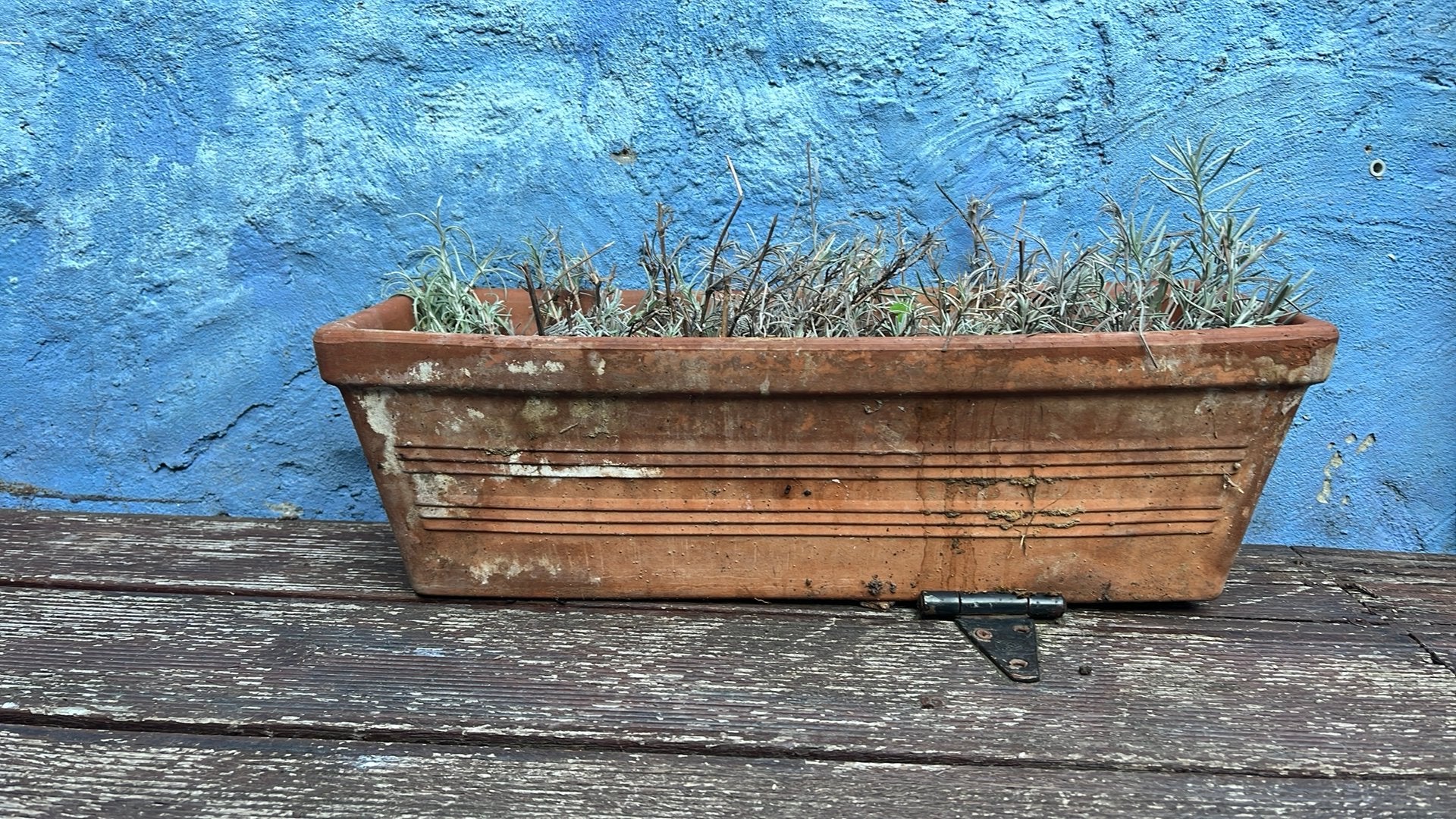 Jardiniere terracotta, Enlèvement, Utilisé