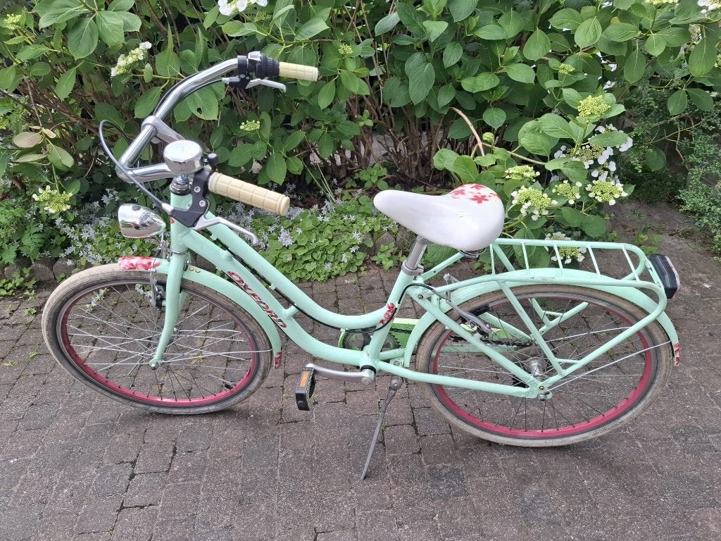 KINDERFIETS meisjes, Fietsen en Brommers, Ophalen, 20 inch of meer, Gebruikt, Oxford