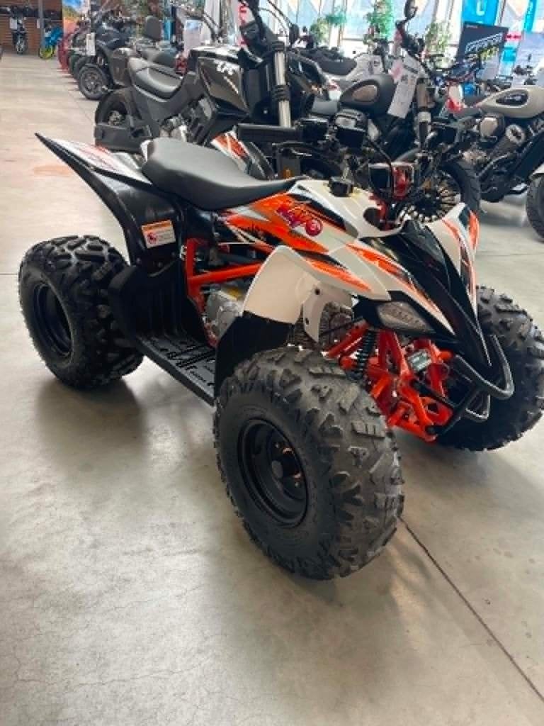 Kayo 110, Motos, Jusqu'à 11 kW, 110 cm³, 1 cylindre