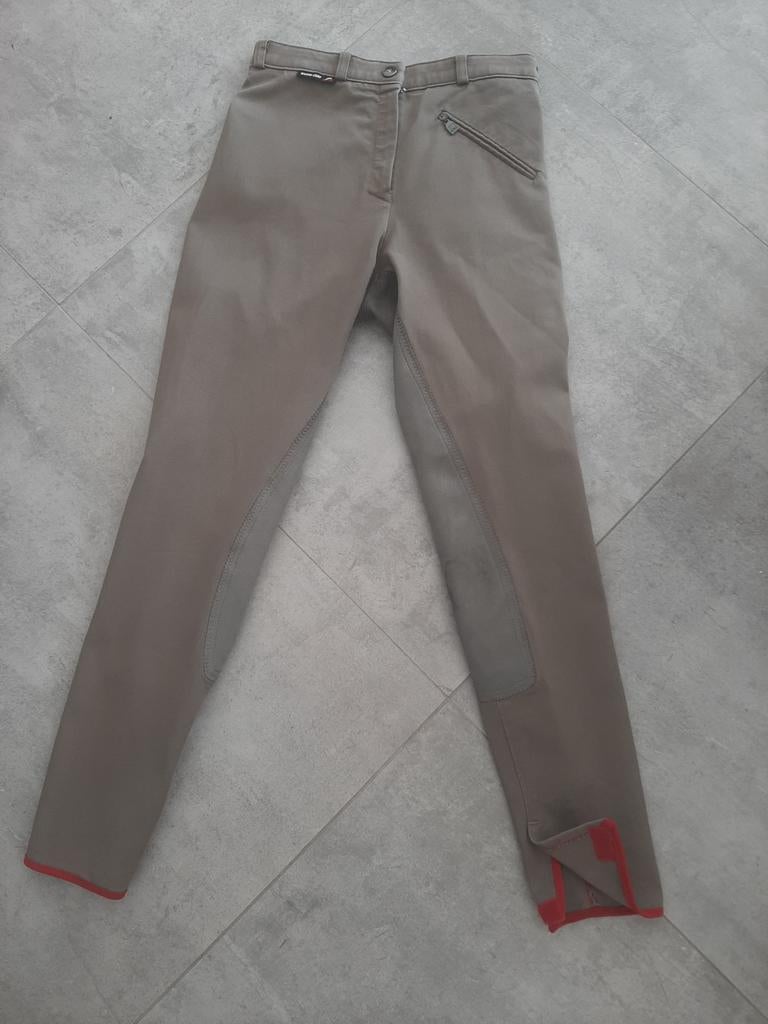 Ruitersbroek Euro-Star dames maat 38, Ophalen of Verzenden