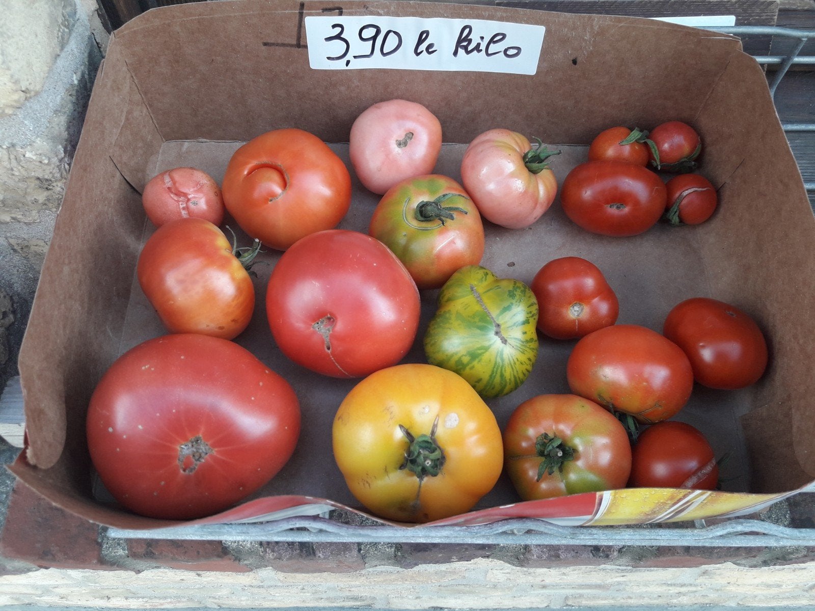 Tuintomaten, erfstukvariëteiten, Ophalen