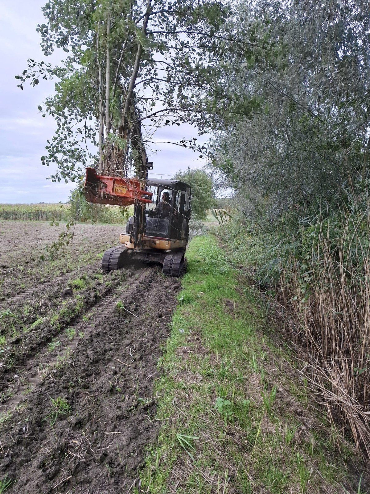 machinaal knotten en opkuisen houtkanten, Tuin en Terras, Ophalen of Verzenden