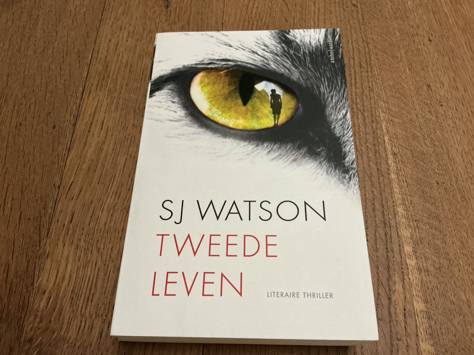 S.J. Watson - Tweede leven, Enlèvement, Utilisé, S.J. Watson