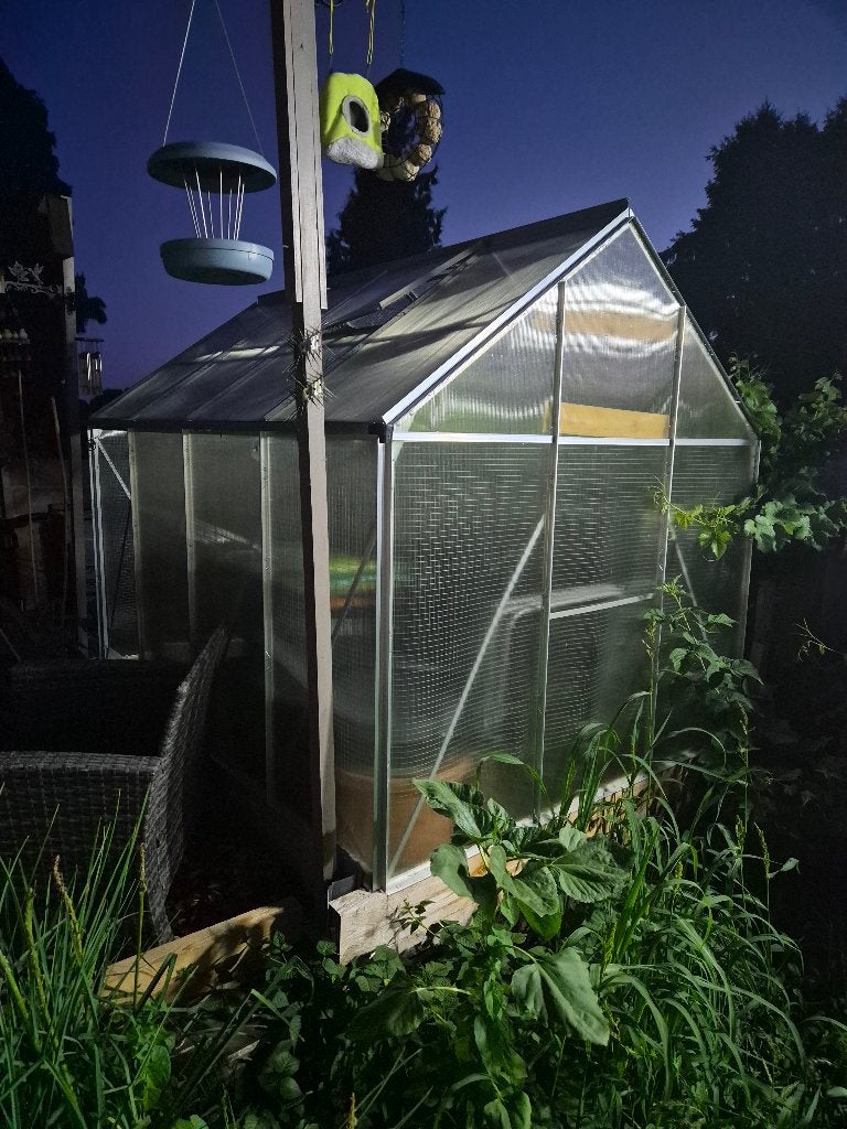 Serre, Serre, Polycarbonate, Enlèvement, Utilisé