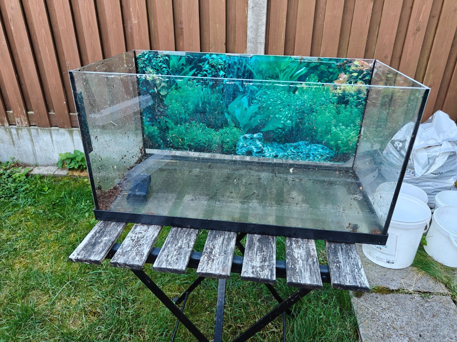 Aquarium, Enlèvement