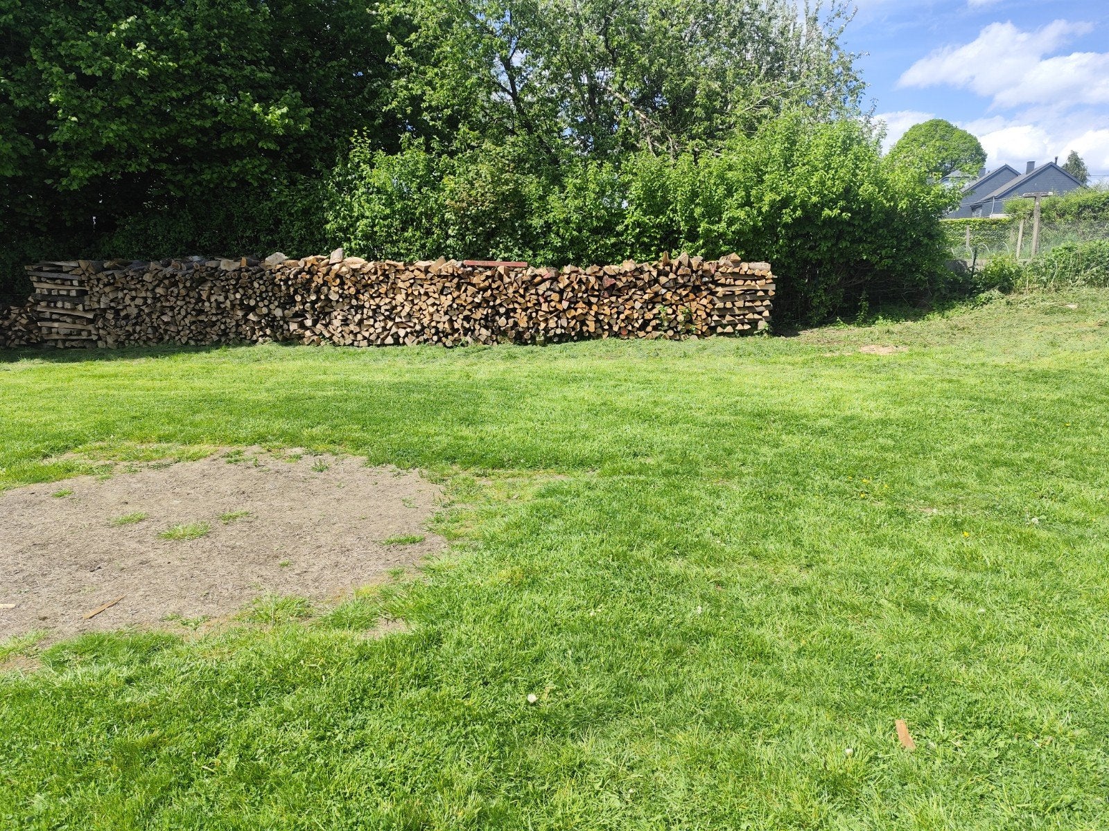 Bois chauffage, Jardin & Terrasse, Bois de chauffage, Enlèvement, Hêtre
