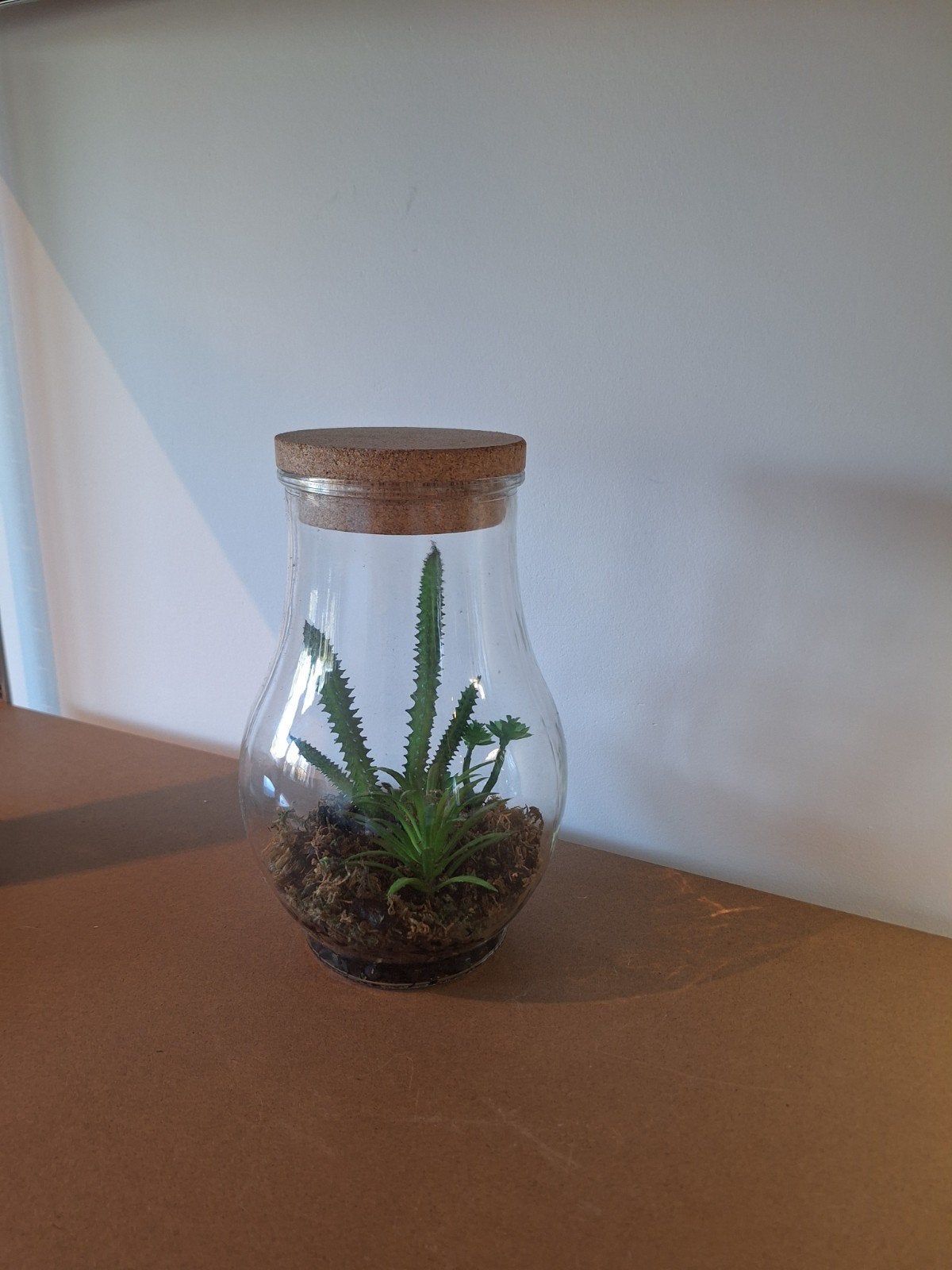 Planten terrarium met kurken deksel., Ophalen of Verzenden, Minder dan 100 cm