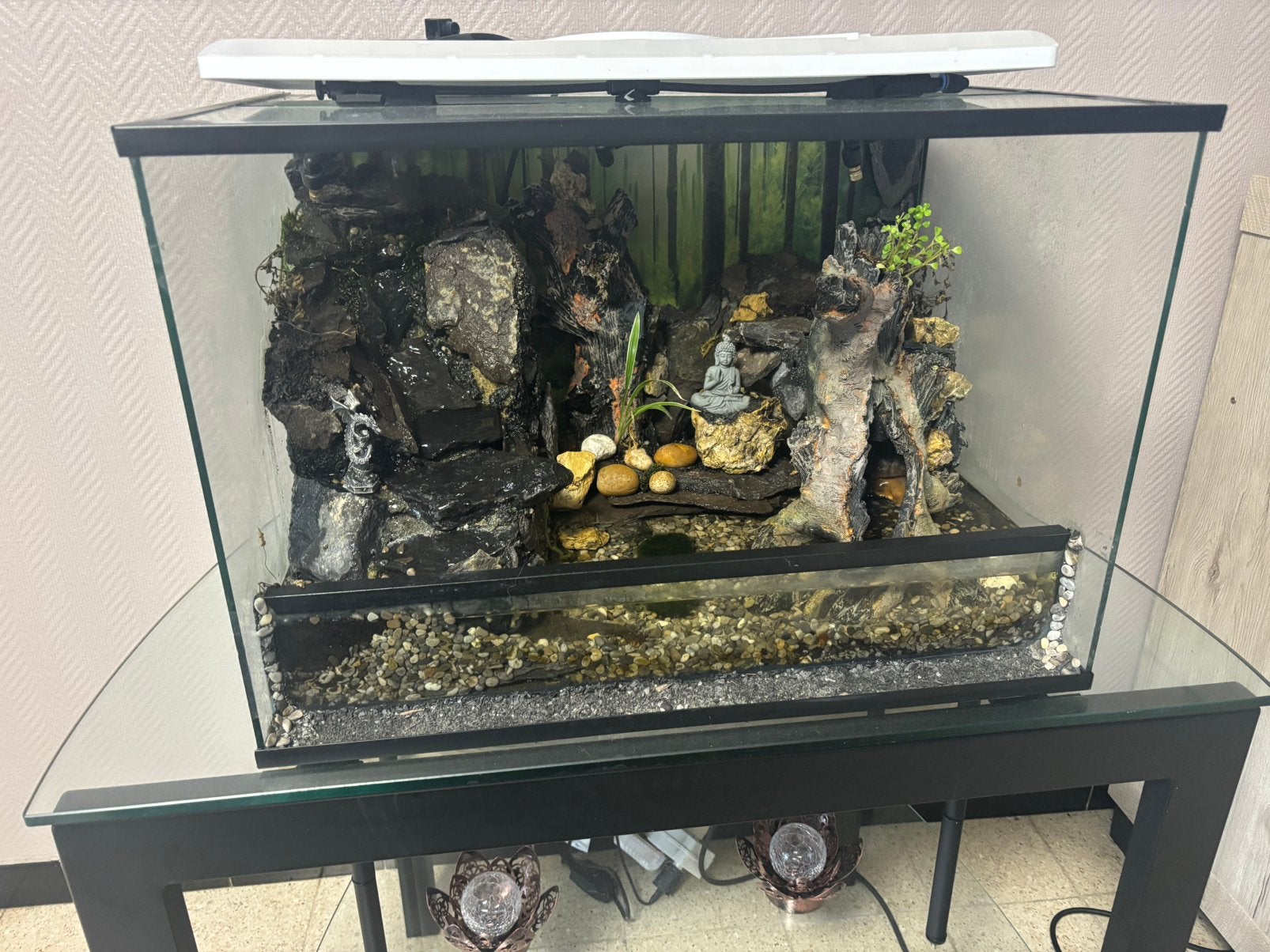 paludarium, Ophalen, Gebruikt