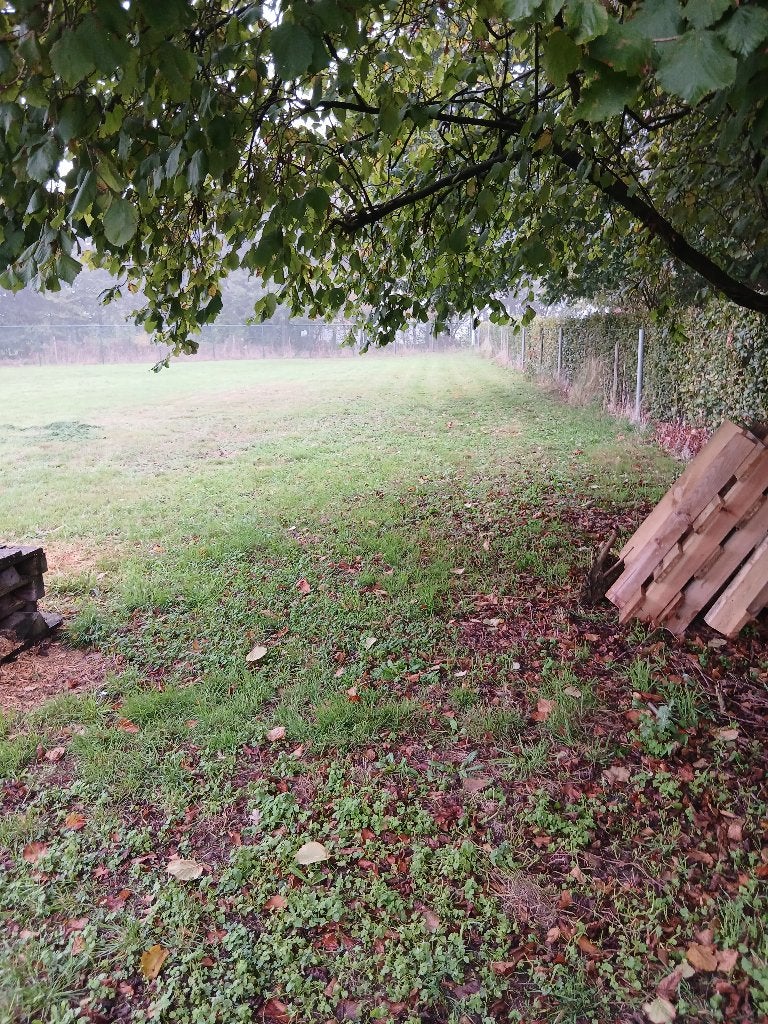 weiland landbouwgrond hobbygrond, Immo, Emblem, 1500 m² of meer