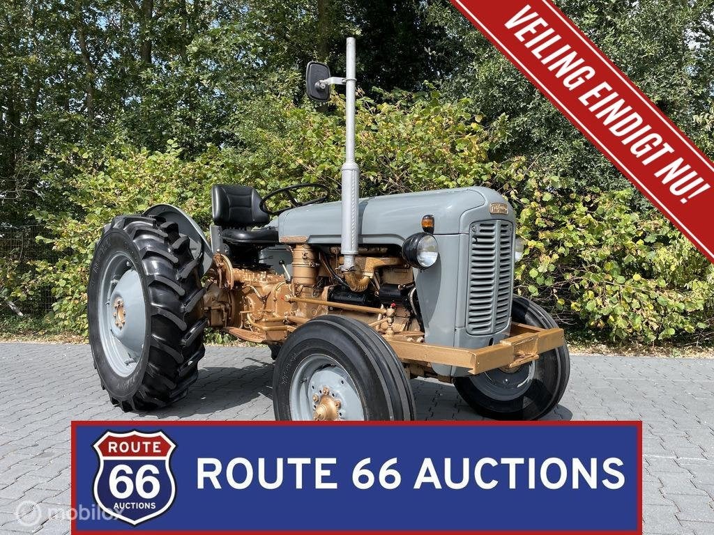 Massey Ferguson FE35 "Gold Belly" Tractor | 1957 | Route 66, Autres marques, Achat, Entreprise, Boîte manuelle