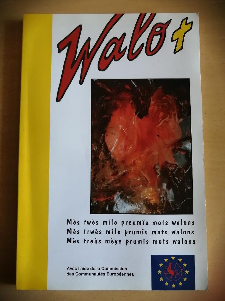 Dictionnaire Wallon : Mès trwès mile prumîs mots walons, Livres, Enlèvement ou Envoi