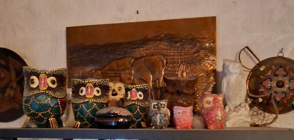 uiltjes en klokjes voor verzamelaars, Collections, Enlèvement, Comme neuf, Autres types