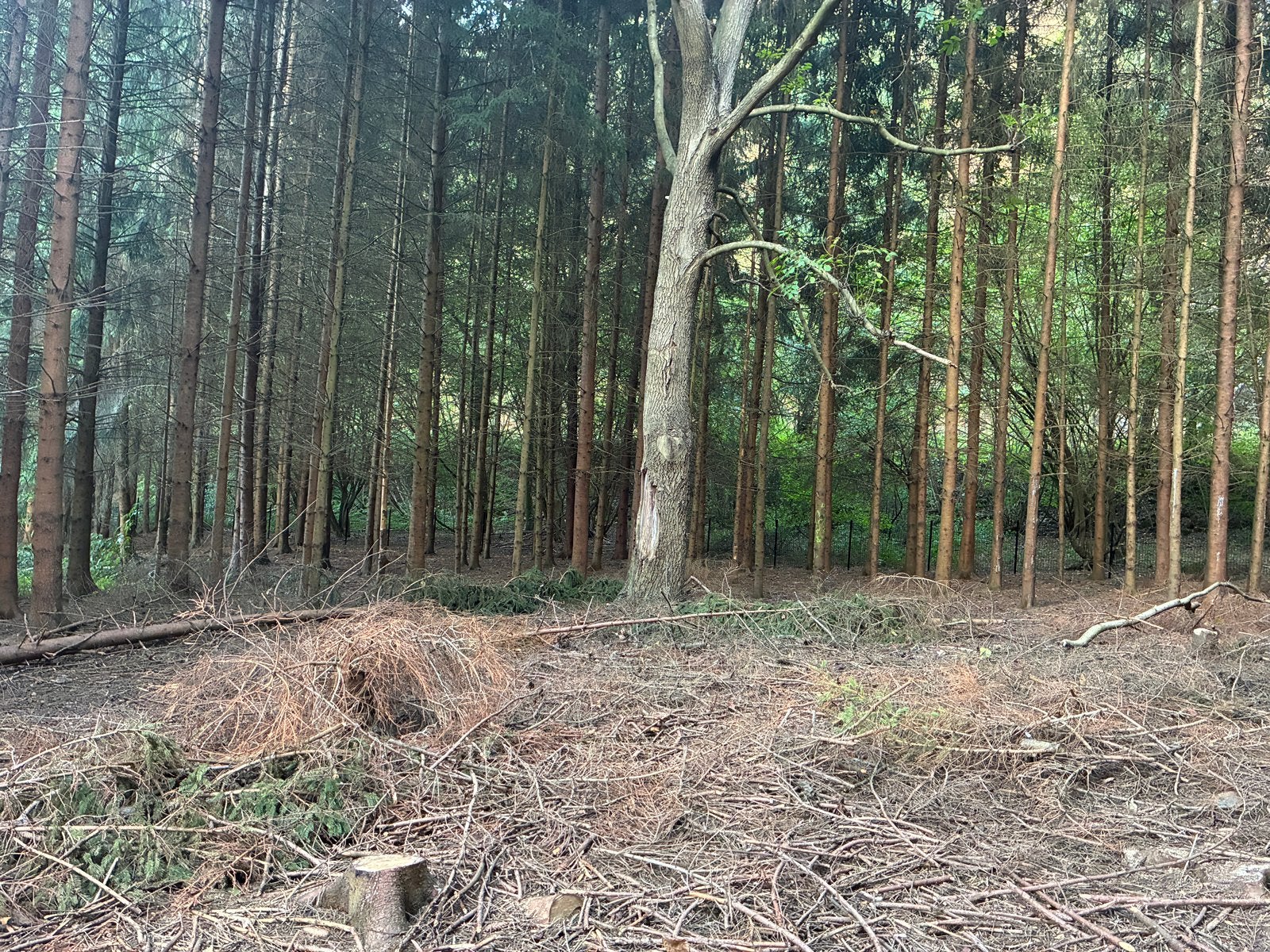 Terrain a vendre - NON BATISSABLE, Immo, Terrains & Terrains à bâtir, 1500 m² ou plus
