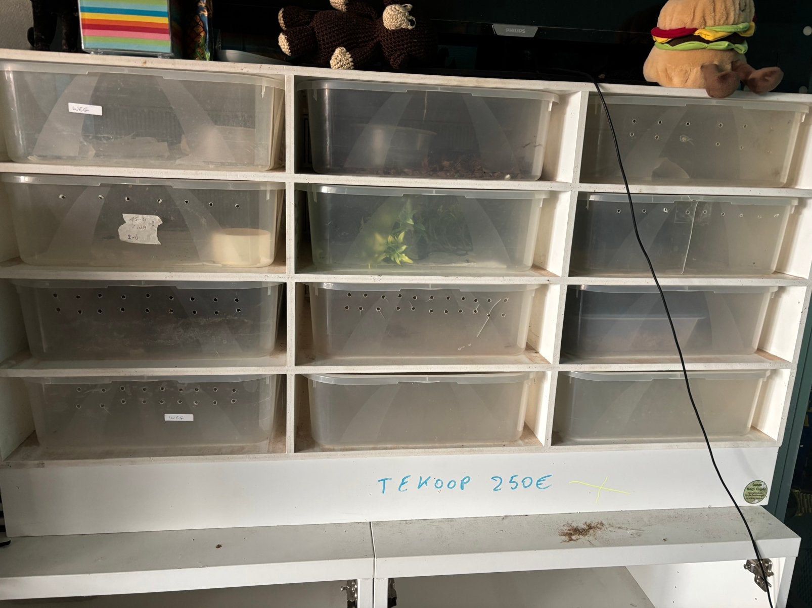 Rack, Dieren en Toebehoren, Ophalen