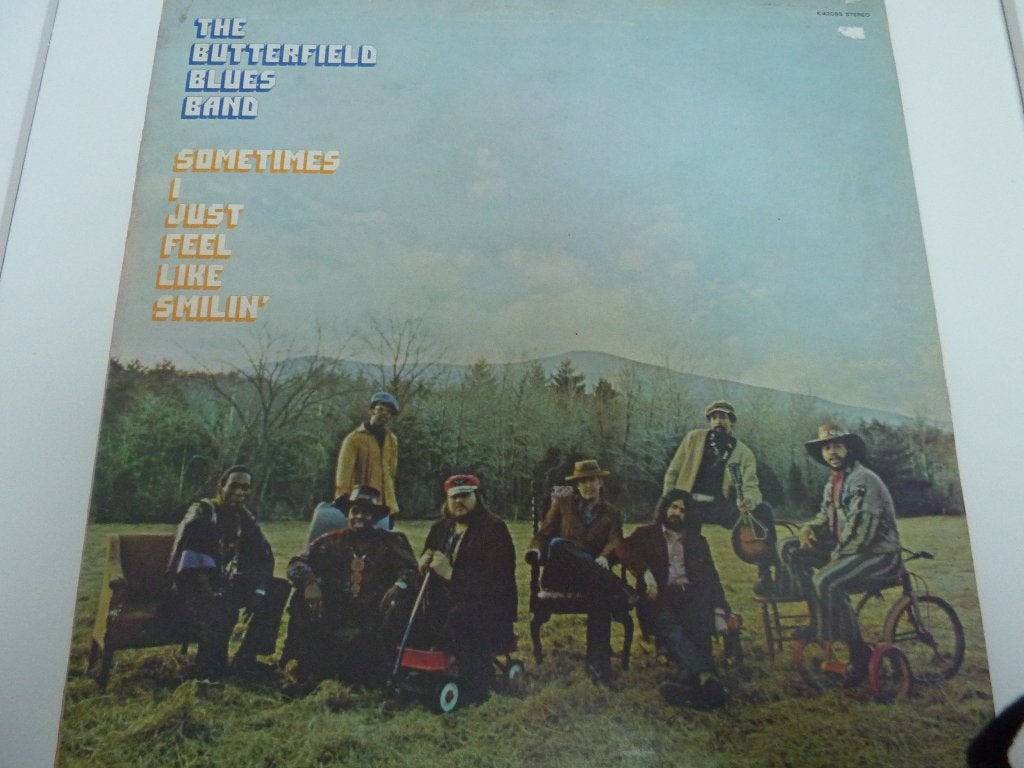 The Butterfield Blues Band - Sometimes I Just Feel..., Cd's en Dvd's, Ophalen of Verzenden, Gebruikt, Blues